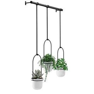 Hanging planter for window